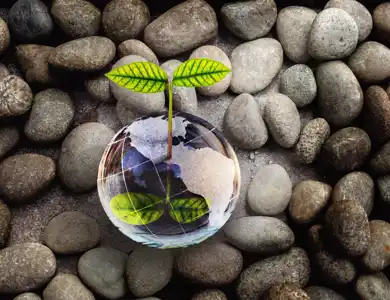 Environmentally Friendly Shutterstock 2004139322